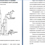 Иллюстрация №3: Термический крекинг (Дипломные работы - Нефтегазовое дело).