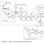 Иллюстрация №1: Теоретические и инженерные основы процесса получения биодизеля (Дипломные работы - Нефтегазовое дело).