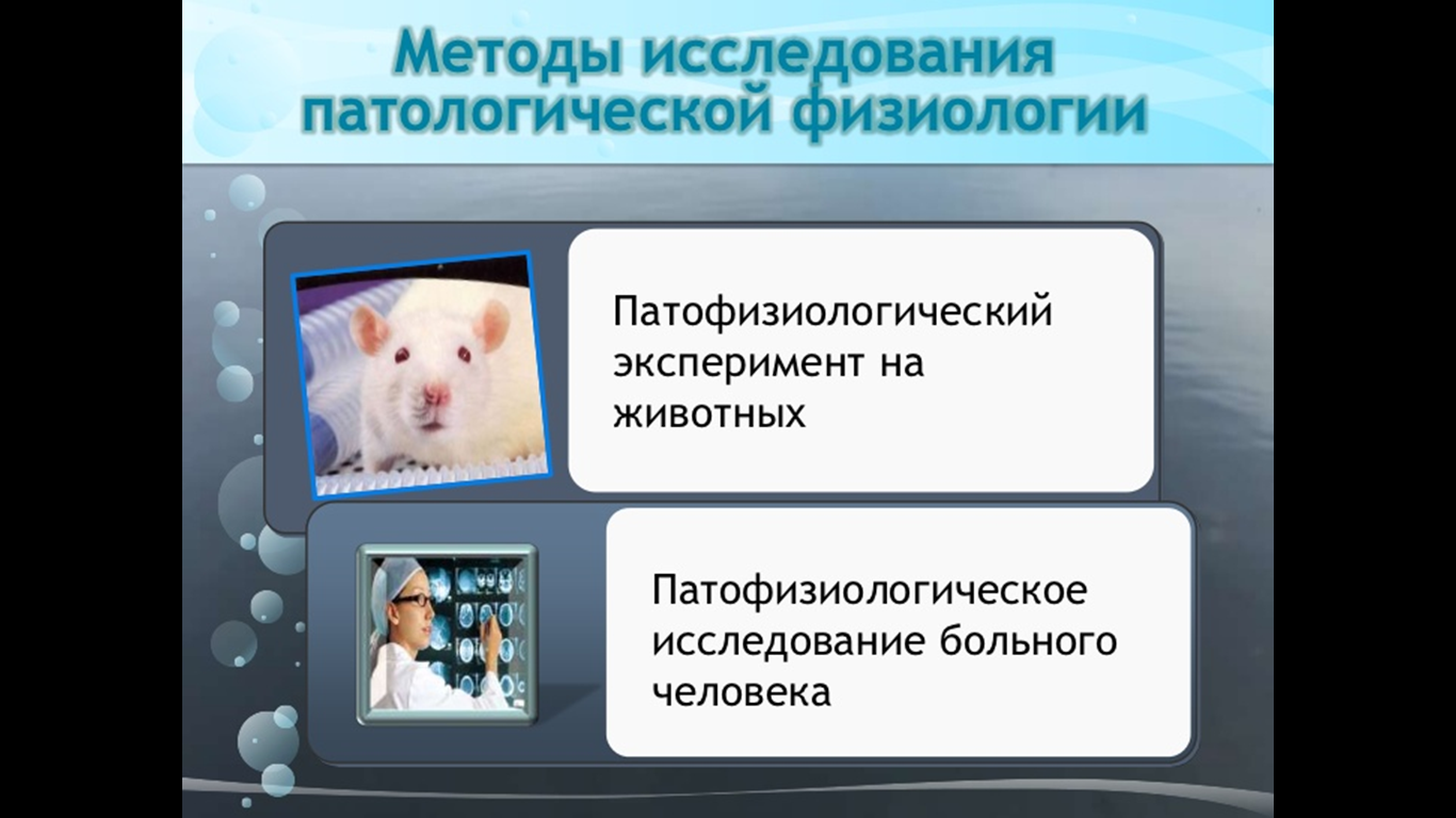 Экспериментальная патофизиология. Методы исследования в физиологии. Методы исследования патологической физиологии. Эксперимент в патофизиологии. Методы изучения физиологии животных.