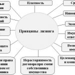 Иллюстрация №3: Развитие международного лизинга в России и за рубежом (Дипломные работы - Экономика).