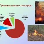 Иллюстрация №2: Анализ безопасности при ликвидации лесного пожара (Дипломные работы - Безопасность жизнедеятельности).
