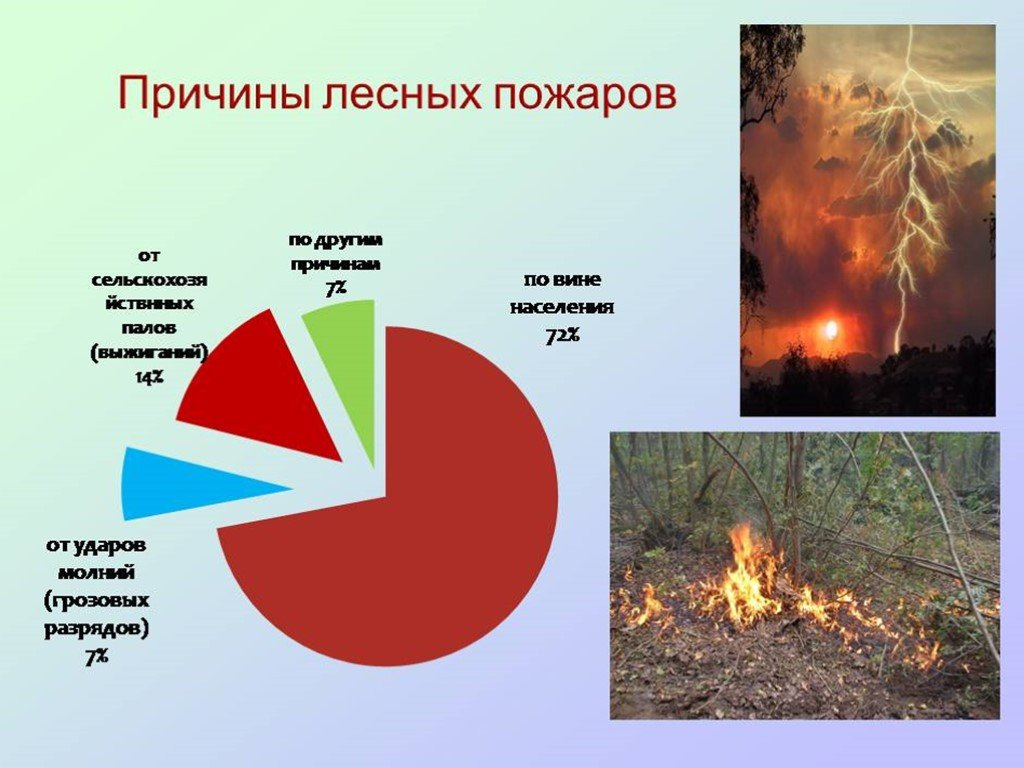 Природные пожары кратко. Причины природных пожаров. Причины пожара в лесу. Причины возникновения лесных пожаров. Причины возникновения пожаров природные и антропогенные.