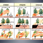 Иллюстрация №4: Анализ безопасности при ликвидации лесного пожара (Дипломные работы - Безопасность жизнедеятельности).