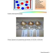 Иллюстрация №1: Поиски «мертвой» и «живой» воды (Другие типы работ - Физика).