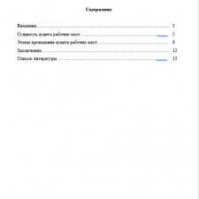 Иллюстрация №1: Аудит рабочих мест (Доклады - Управление персоналом).