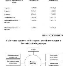 Иллюстрация №2: Социальная защита детей-инвалидов в Российской Федерации (Дипломные работы - Социальное обеспечение).