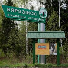 Иллюстрация №1: Презентация на тему  «Бярэзінскі біясферны запведнік» (язык презентации: белорусский) (Презентации - Естествознание).