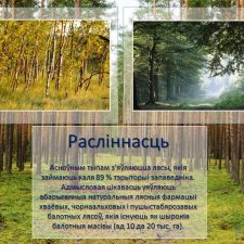 Иллюстрация №4: Презентация на тему  «Бярэзінскі біясферны запведнік» (язык презентации: белорусский) (Презентации - Естествознание).