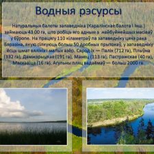 Иллюстрация №5: Презентация на тему  «Бярэзінскі біясферны запведнік» (язык презентации: белорусский) (Презентации - Естествознание).