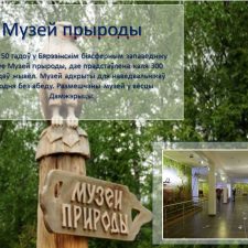 Иллюстрация №9: Презентация на тему  «Бярэзінскі біясферны запведнік» (язык презентации: белорусский) (Презентации - Естествознание).
