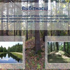 Иллюстрация №10: Презентация на тему  «Бярэзінскі біясферны запведнік» (язык презентации: белорусский) (Презентации - Естествознание).