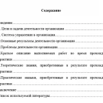 Иллюстрация №2: Отчет по производственной практике в бухгалтерии ИП (Отчеты и дневники по практике - Бухгалтерский учет и аудит, Экономика).