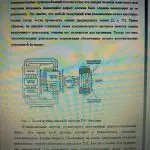 Иллюстрация №1: «Теория функциональных систем  П.К. Анохина» (Курсовые работы - Психология).