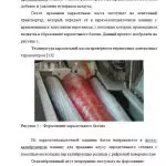 Иллюстрация №2: Технология карамели специального назначения в условиях ЗАОр «НП Конфил» (Дипломные работы - Технология продовольственных продуктов и товаров).