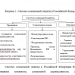 Иллюстрация №2: Тенденции развития системы социальной защиты в Российской Федерации. (Дипломные работы - Государственное и муниципальное управление, Социальная работа, Социальное обеспечение).