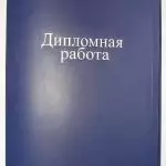 Иллюстрация №1: Перспективы и направления развития рынка пластиковых карт в России (Дипломные работы - Банковское дело).