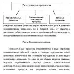 Иллюстрация №1: Познавательные процессы: восприятие (Рефераты - Психология).