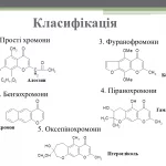 Иллюстрация №1: Природні похідні хромону (Курсовые работы - Химия).