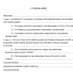 Иллюстрация №1: Продвижение профессионального спортивного клуба в условиях высокой конкуренции (Дипломные работы - Маркетинг, Физическая культура).