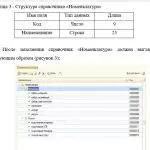 Иллюстрация №1: Разработка информационной системы бухгалтерского учета (Курсовые работы - Информационные технологии).