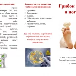 Иллюстрация №2: Участие медицинской сестры в диагностике и профилактике грибковых заболеваний ногтей (Дипломные работы - Медицина).