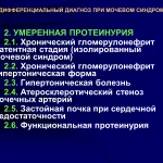 Иллюстрация №2: Дифдагостика мочевого синдрома.Презентация (Доклады - Медицина).