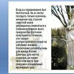 Иллюстрация №1: ИСТОРИЯ ЗАРОЖДЕНИЯ ОЛИМПИЙСКОГО ДВИЖЕНИЯ В ДРЕВНЕЙ ГРЕЦИИ (Рефераты - Физическая культура).