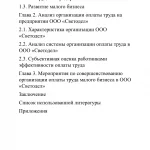 Иллюстрация №1: Совершенствование организации оплаты труда в малом бизнесе (на примере ООО «СВЕТОДЕЛ») (Курсовые работы - Экономика предприятия).