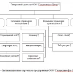 Иллюстрация №2: Анализ финансового состояния организации и разработка мероприятий по его улучшению (на примере ООО «Газпромнефть-Центр») (Дипломные работы - Экономика предприятия).