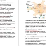 Иллюстрация №1: Бешенство (Рефераты - Медицина).