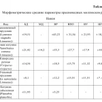 Иллюстрация №2: БИОЭКОЛОГИЧЕСКАЯ ХАРАКТЕРИСТИКА МОЛЛЮСКОВ  НЕКОТОРЫХ УЧАСТКОВ РЕКИ НАВЛЯ НА ТЕРРИТОРИИ ПГТ. НАВЛЯ  НАВЛИНСКОГО РАЙОНА БРЯНСКОЙ ОБЛАСТИ (Дипломные работы - Биология).