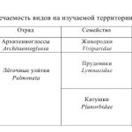 Иллюстрация №1: БИОЭКОЛОГИЧЕСКАЯ ХАРАКТЕРИСТИКА МОЛЛЮСКОВ  НЕКОТОРЫХ УЧАСТКОВ РЕКИ НАВЛЯ НА ТЕРРИТОРИИ ПГТ. НАВЛЯ  НАВЛИНСКОГО РАЙОНА БРЯНСКОЙ ОБЛАСТИ (Дипломные работы - Биология).