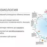 Иллюстрация №2: Наследственные заболевания углеводного обмена (Презентации - Медицина).